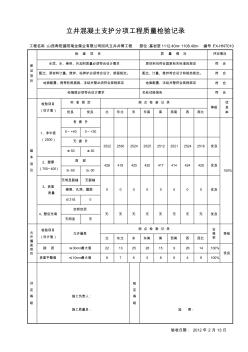 立井混凝土支护分项工程质量检验记录