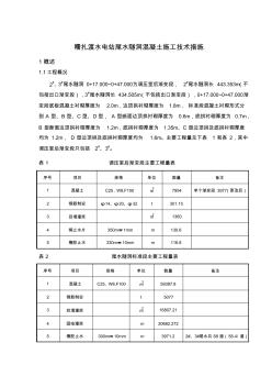 糯扎渡水电站尾水隧洞混凝土施工技术措施 (2)