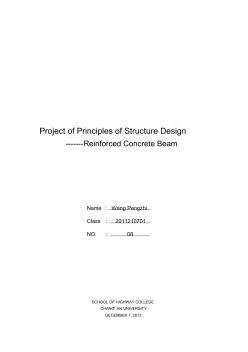 结构设计原理课程设计-混凝土梁(英文版)