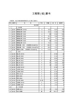 给排水预算书