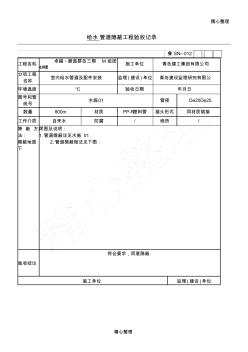 給水管道隱蔽工程驗收記錄 (2)