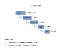 自建項(xiàng)目、合作項(xiàng)目投標(biāo)工作的流程 (2)