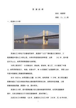 芜湖长江大桥是国家