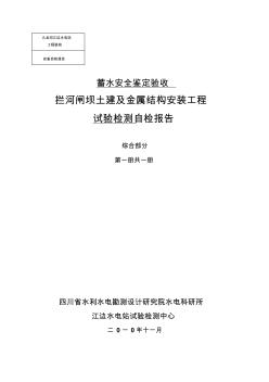 蓄水安全鉴定试验检测自检报告-试验中心