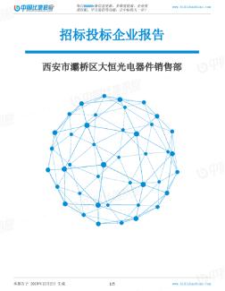 西安市灞桥区大恒光电器件销售部-招投标数据分析报告 (2)