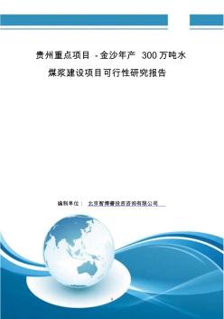 贵州重点项目-金沙年产300万吨水煤浆建设项目可行性研究报告