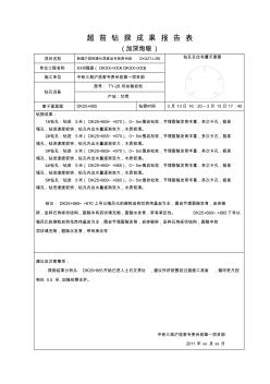 超前钻探成果报告(使用表格)