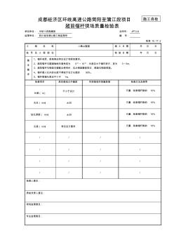 超前锚杆现场质量检验表