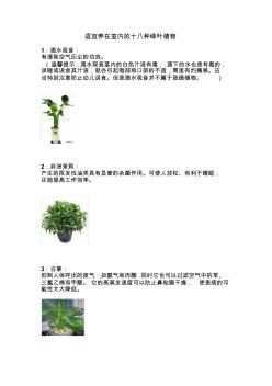 适宜养在室内的十八种绿叶植物