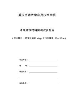 道路建筑材料实训试验报告