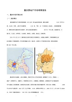 重庆房地产市场2010年度研究报告