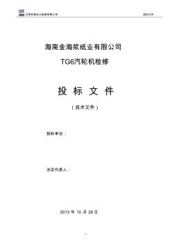 金海漿紙業(yè)TG6檢修投標技術(shù)文件