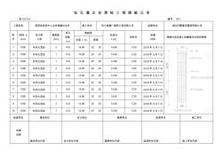 钻孔灌注桩桩隐蔽验收记录表47根桩