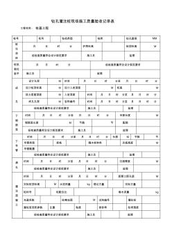 钻孔灌注桩现场施工质量验收记录