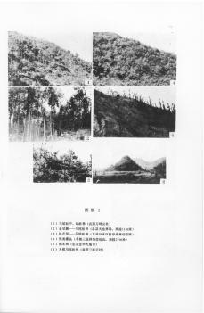 长江三峡库区植被及环境考察报告-图版