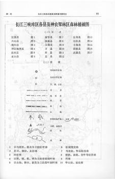 长江三峡库区植被及环境考察报告-森林植被图