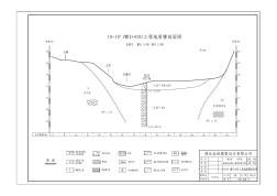 长阳咸池河治理工程地质剖面图10-Model