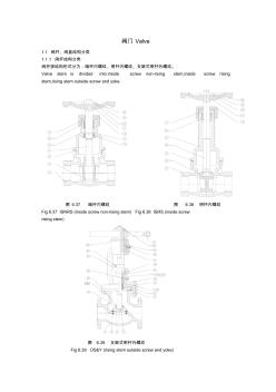 阀门 (4)