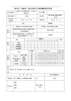 阀门井检查井排水井单元工程质量检验评定表