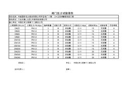 阀门试压试验报告