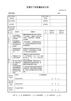 防雷引下线质量验收记录