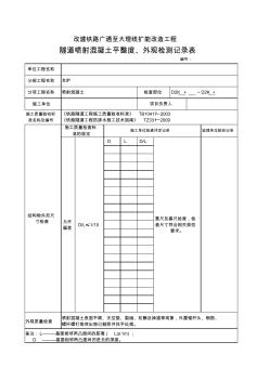 隧道喷射混凝土平整度、外观检测记录表