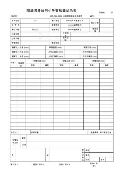 隧道洞身超前小导管检查记录表