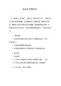 項目經理安全責任書 (2)