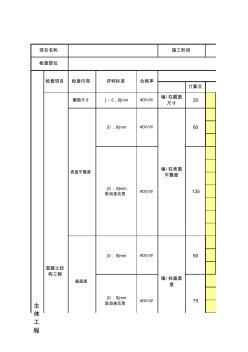 項目質(zhì)量控制——實測實量記錄表