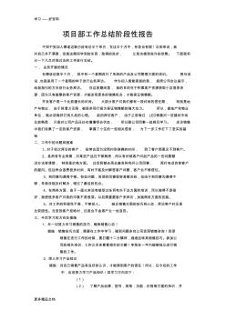 项目部阶段性工作总结报告汇编