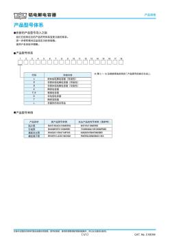 黑金剛鋁電解電容產品型號體系