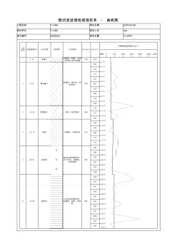 剪切波測(cè)試報(bào)告(剪切+壓縮波)