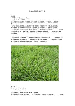 华南地区常用绿化草坪种类
