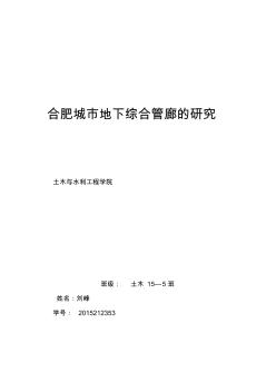 合肥城市地下综合管廊的研究