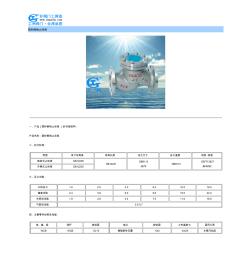 國標(biāo)鋼制止回閥 (2)