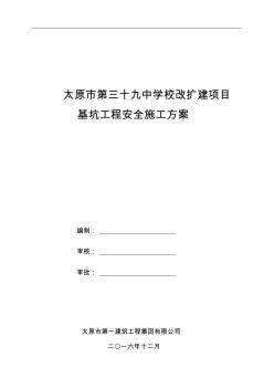 基坑支护与土方开挖施工组织方案专家论证