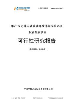 年产5万吨无碱玻璃纤维池窑拉丝融资投资立项项目可行性研究报告(非常详细)