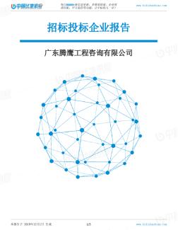 广东腾鹰工程咨询有限公司-招投标数据分析报告