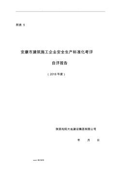 建筑施工企业安全生产标准化自评报告附表5