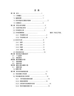 某商业街项目可行性研究报告