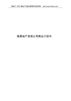 某房地产咨询公司商业计划书 (2)