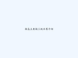 核岛主要核三级水泵介绍PPT