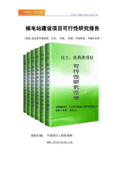 核電站建設(shè)項(xiàng)目可行性研究報(bào)告(專業(yè)經(jīng)典案例)