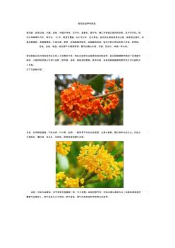 桂花树介绍与用途