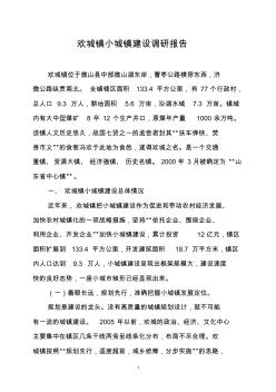 欢城镇小城镇建设调研报告