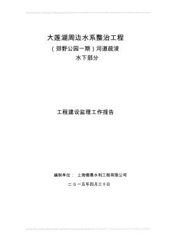 河道疏浚水下部分验收监理工作报告