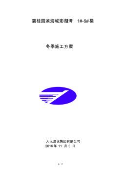 海阳碧桂园冬季施工工程方案 (2)