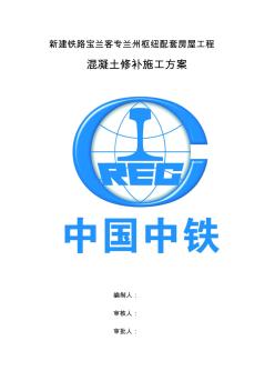 混凝土修补施工方案 (2)