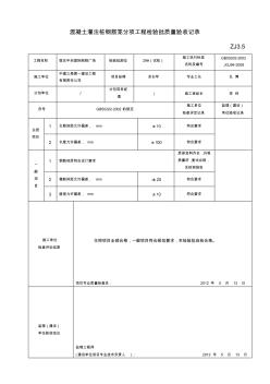 混凝土灌注桩钢筋笼分项工程检验批质量验收记录ZJ3.5