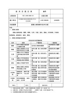 混凝土缺陷修补技术交底